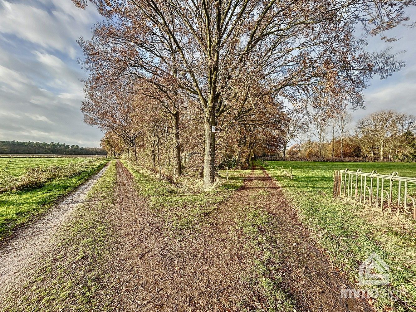 Bosgrond van maar liefst 3HA12A groot foto 6