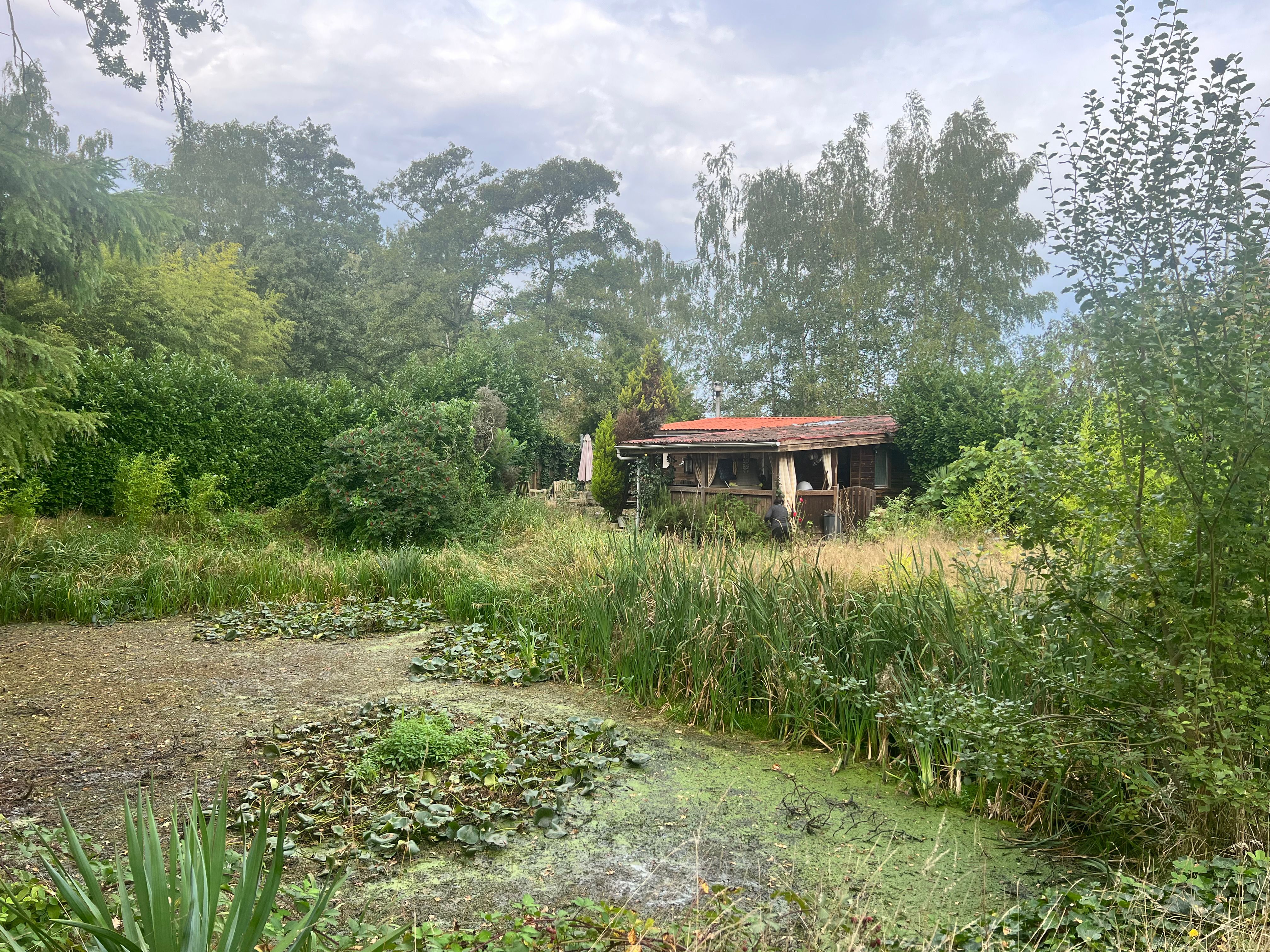 Gezellige chalet met vijver op een perceel van 1.965 m². foto 15