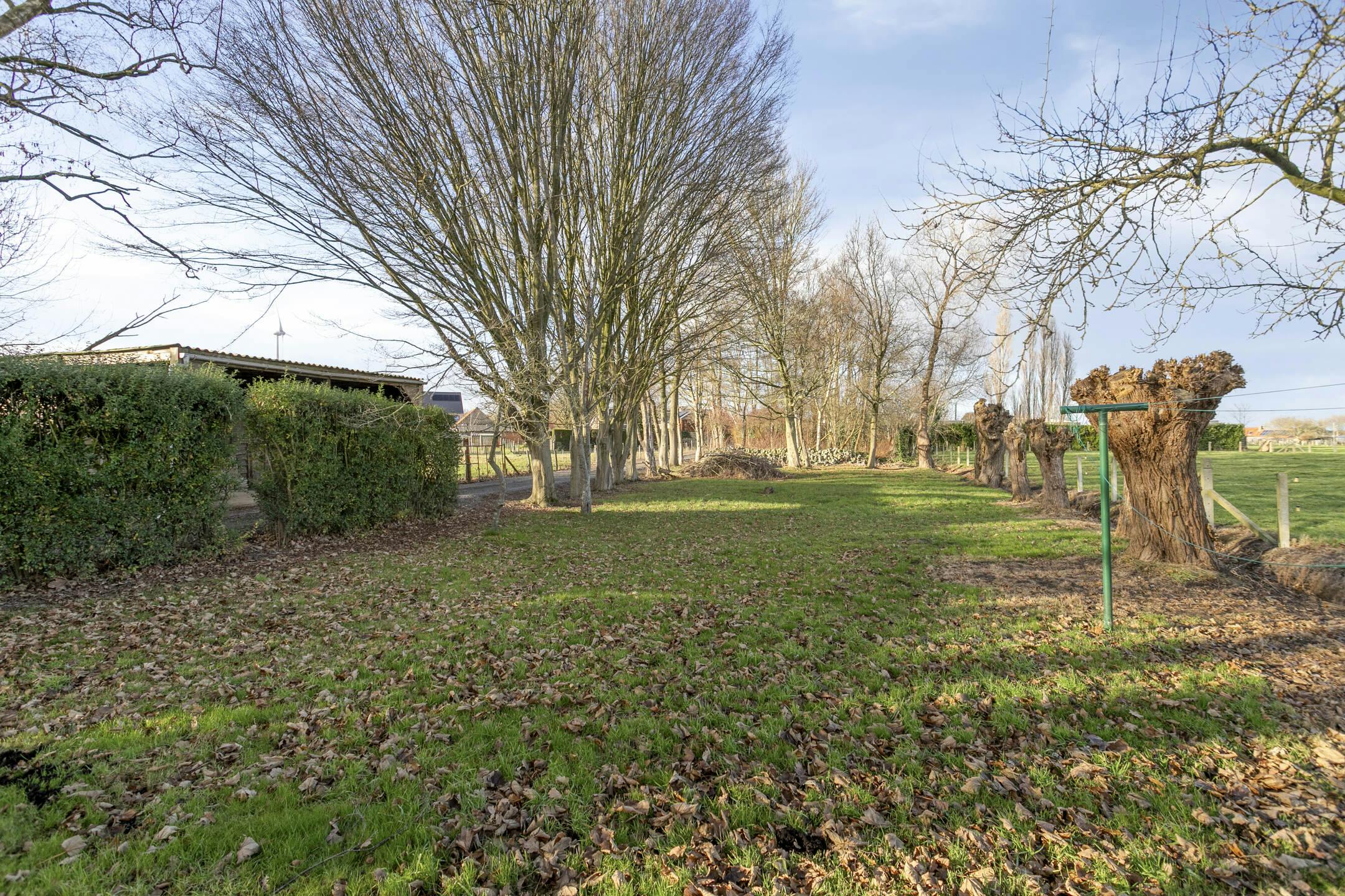 Landelijk gelegen huis met veel potentieel in Ruddervoorde foto 3