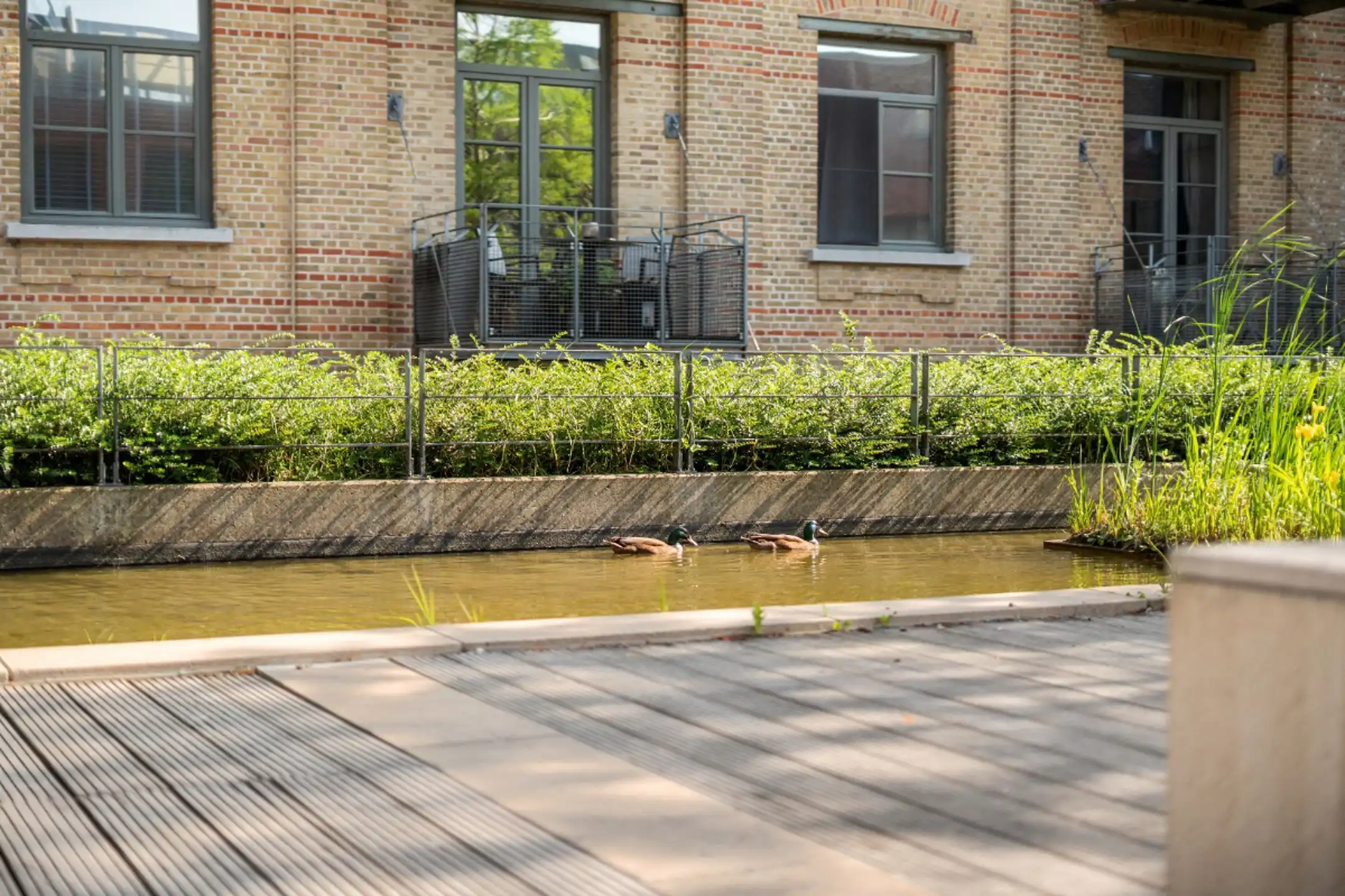 Exclusieve loft met panoramisch uitzicht over Brugge foto 27