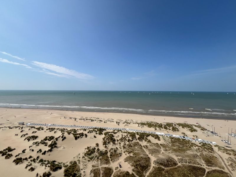 Frontaal zeezicht en een zonnig terras ! foto 11