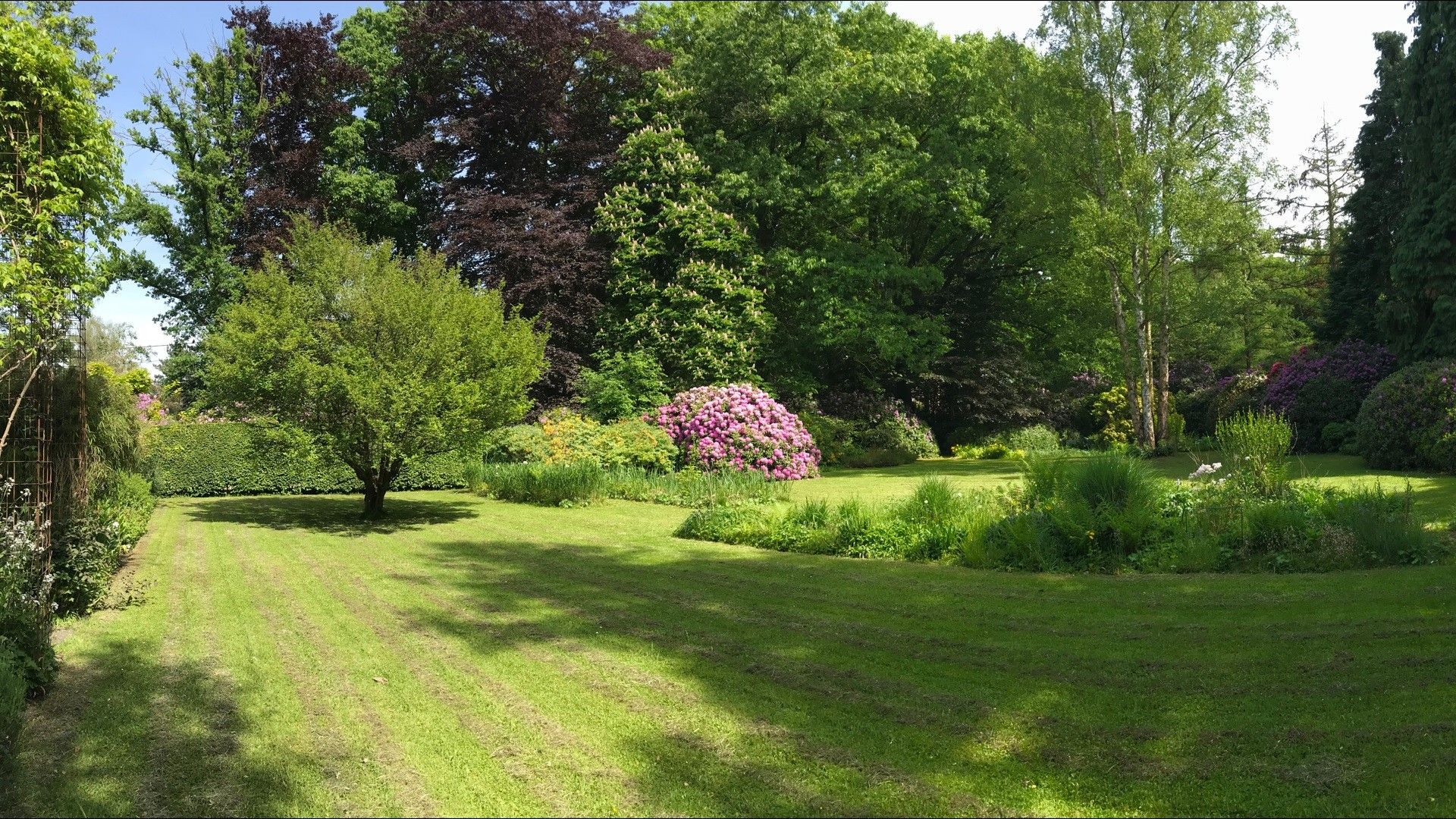 Laagbouwvilla op domein van 4.953 m² foto 19