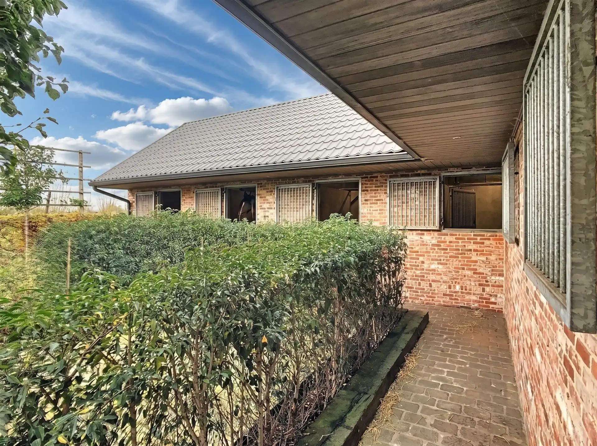 Hoogwaardig afgewerkte pastorijwoning met 6 paardenstallen  op 2563m² (optie extra grond) foto 3