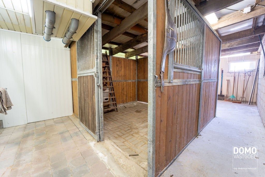 Ruime villa met paardenaccommodatie en wedstrijdstal gelegen te Herk-de-Stad - EPC-label: B - Bewoonbare vloeroppervlakte: 296m² foto 30