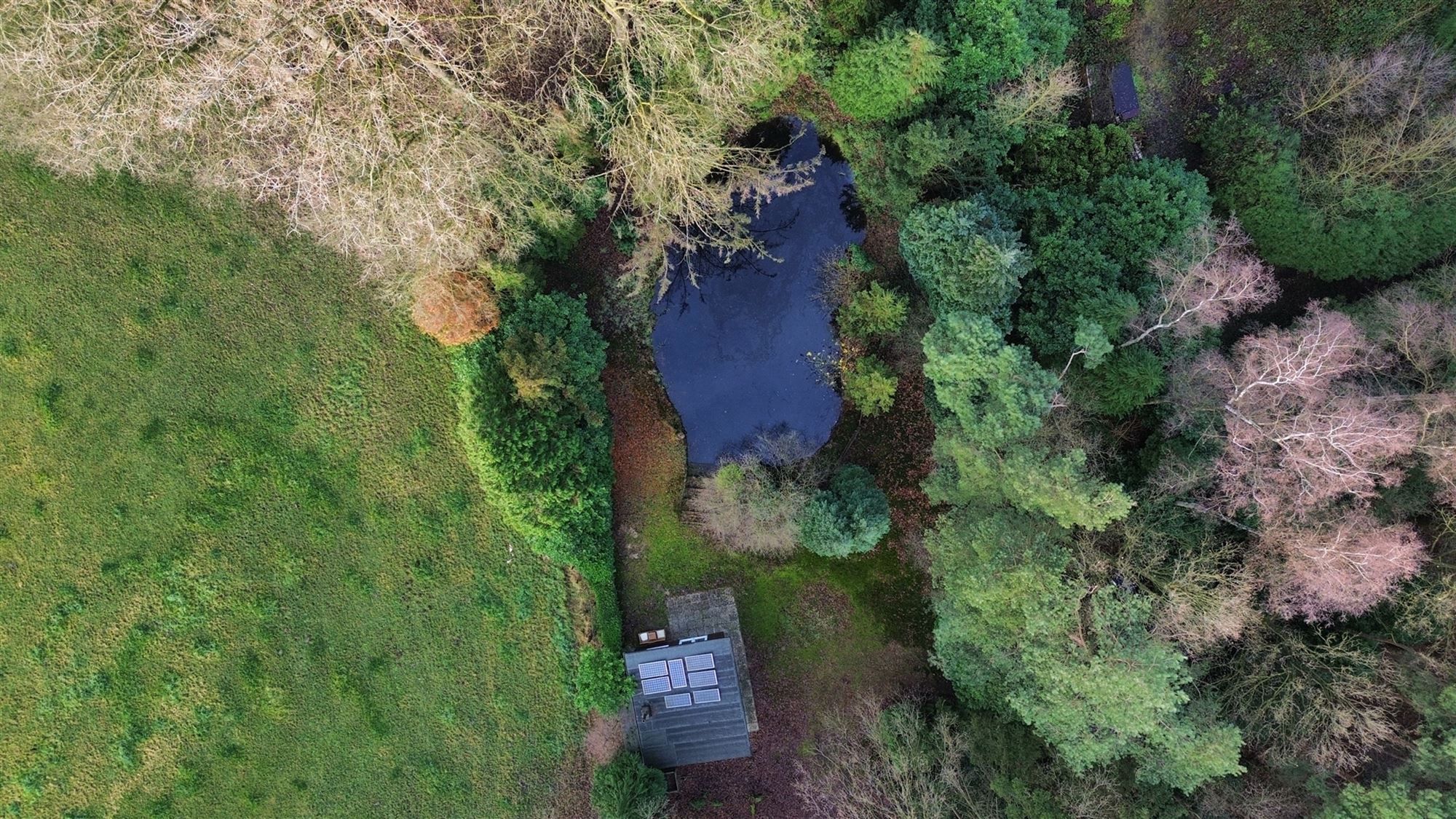 Charmante chalet met privatieve vijver op idyllisch perceel foto 47