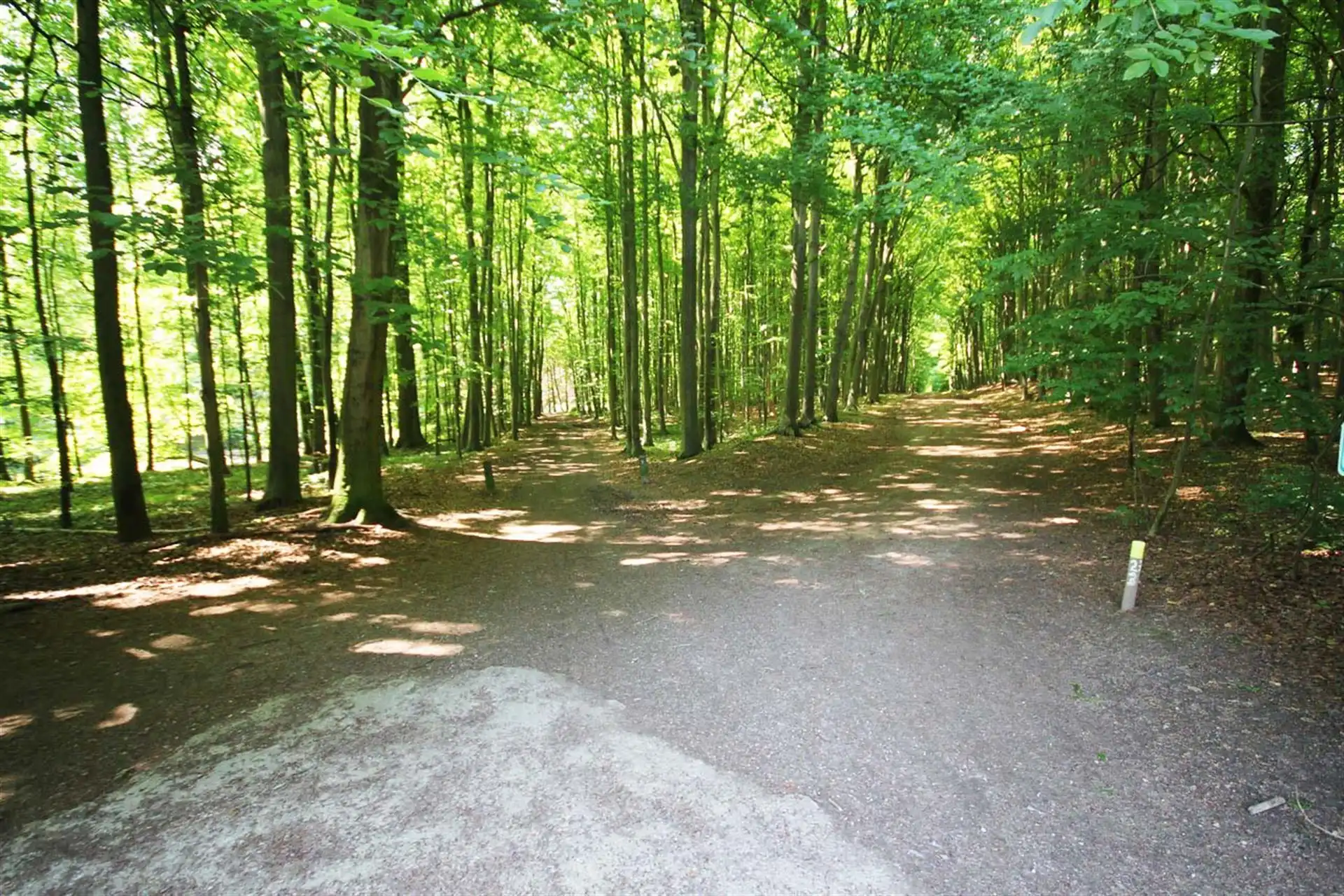 Residentieel gelegen villa foto 28