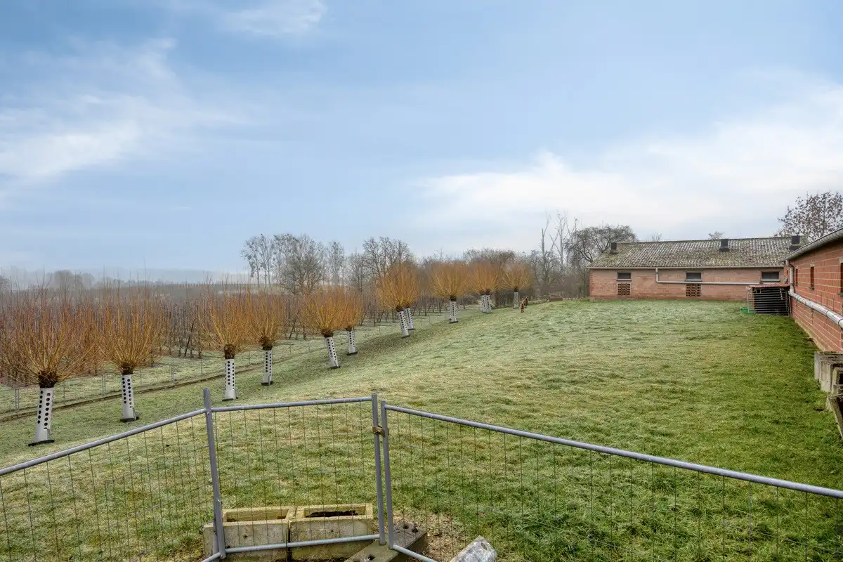 VIERKANTSHOEVE MET 4 BIJHORENDE VARKENSSTALLEN TE SINT-HUIBRECHTS-HERN op 65A79CA. foto 34
