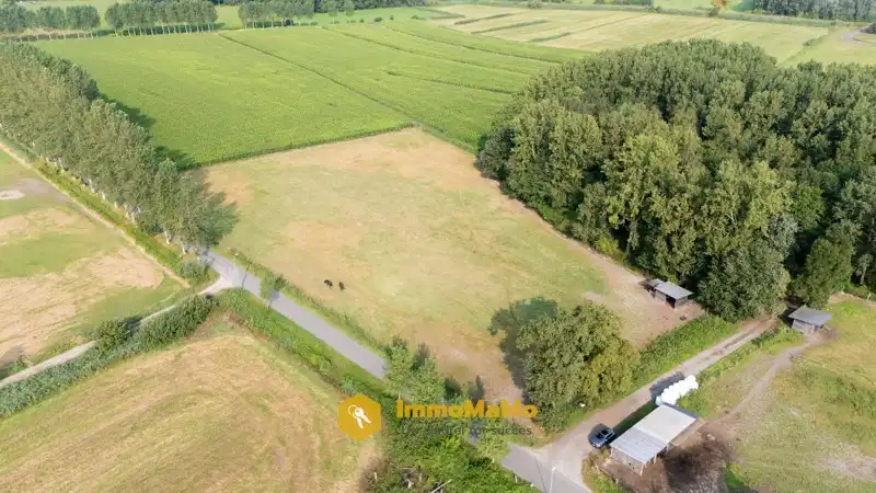 UNIEKE VILLA MET WEILAND EN PAARDENSTALLEN OP EEN TOPLOCATIE TE KOOP IN MENDONK (GENT) foto 53