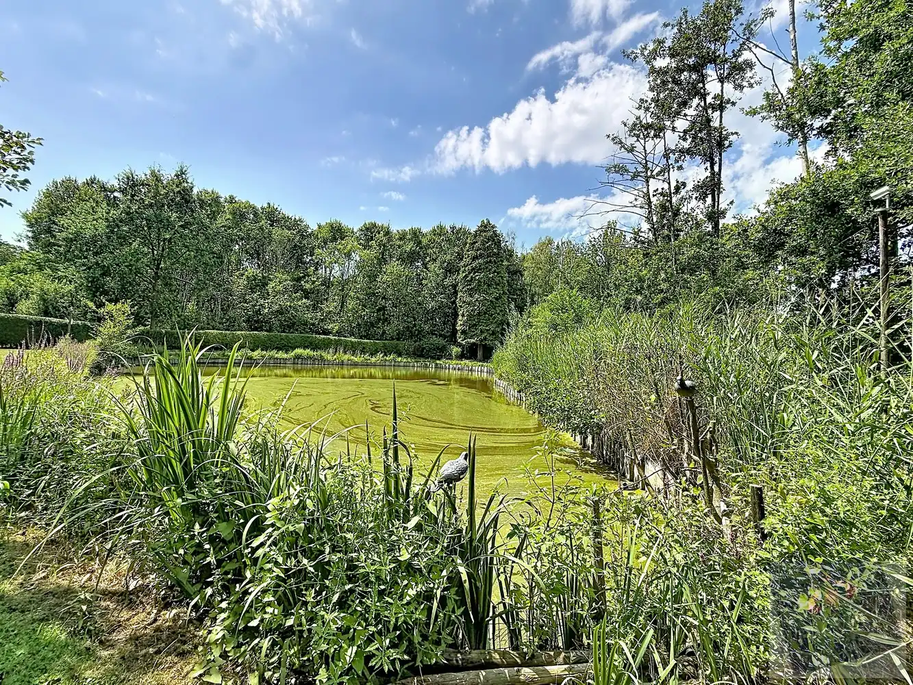 Visvijver op prachtig perceel van 16a10ca in het groene Stokrooie (Bortelsheide) foto 5