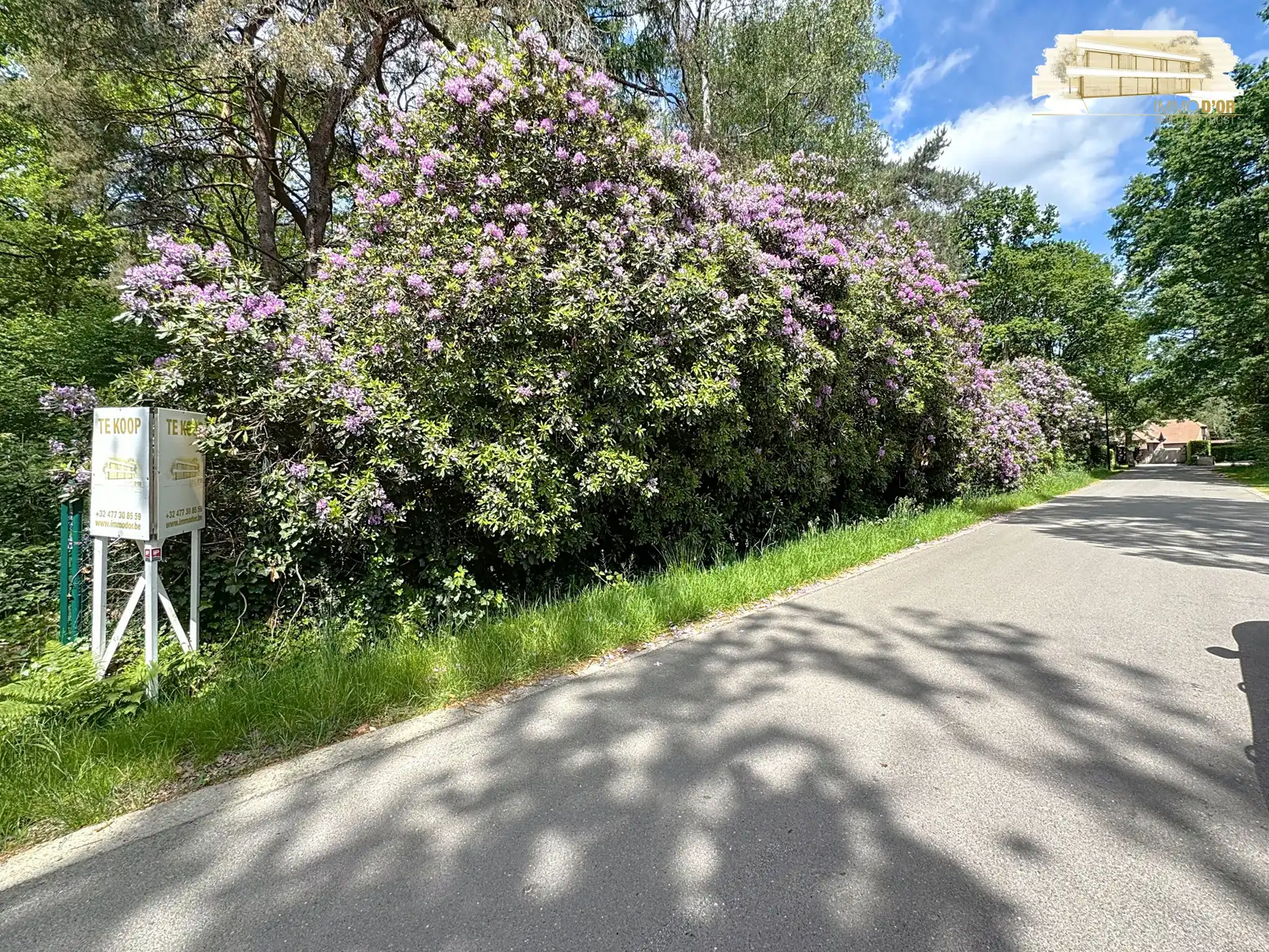 Bouwgrond te Hof ter Linden in 's-Gravenwezel! foto 9