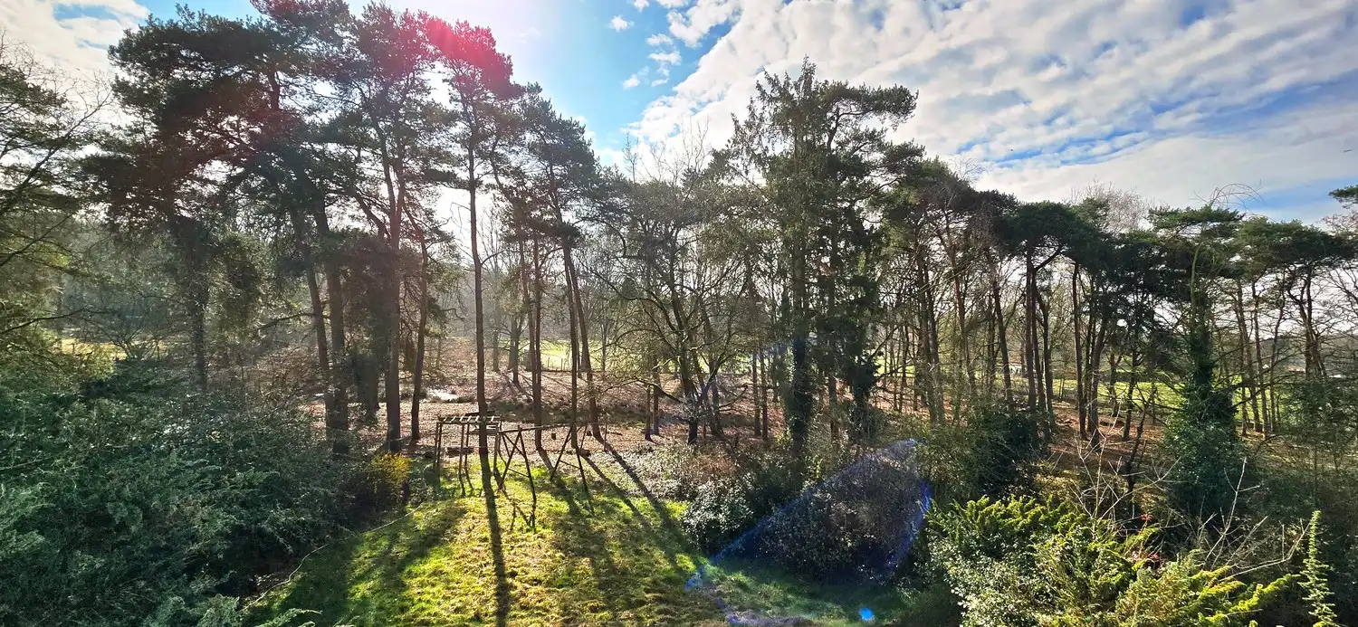 Huis te koop foto 10