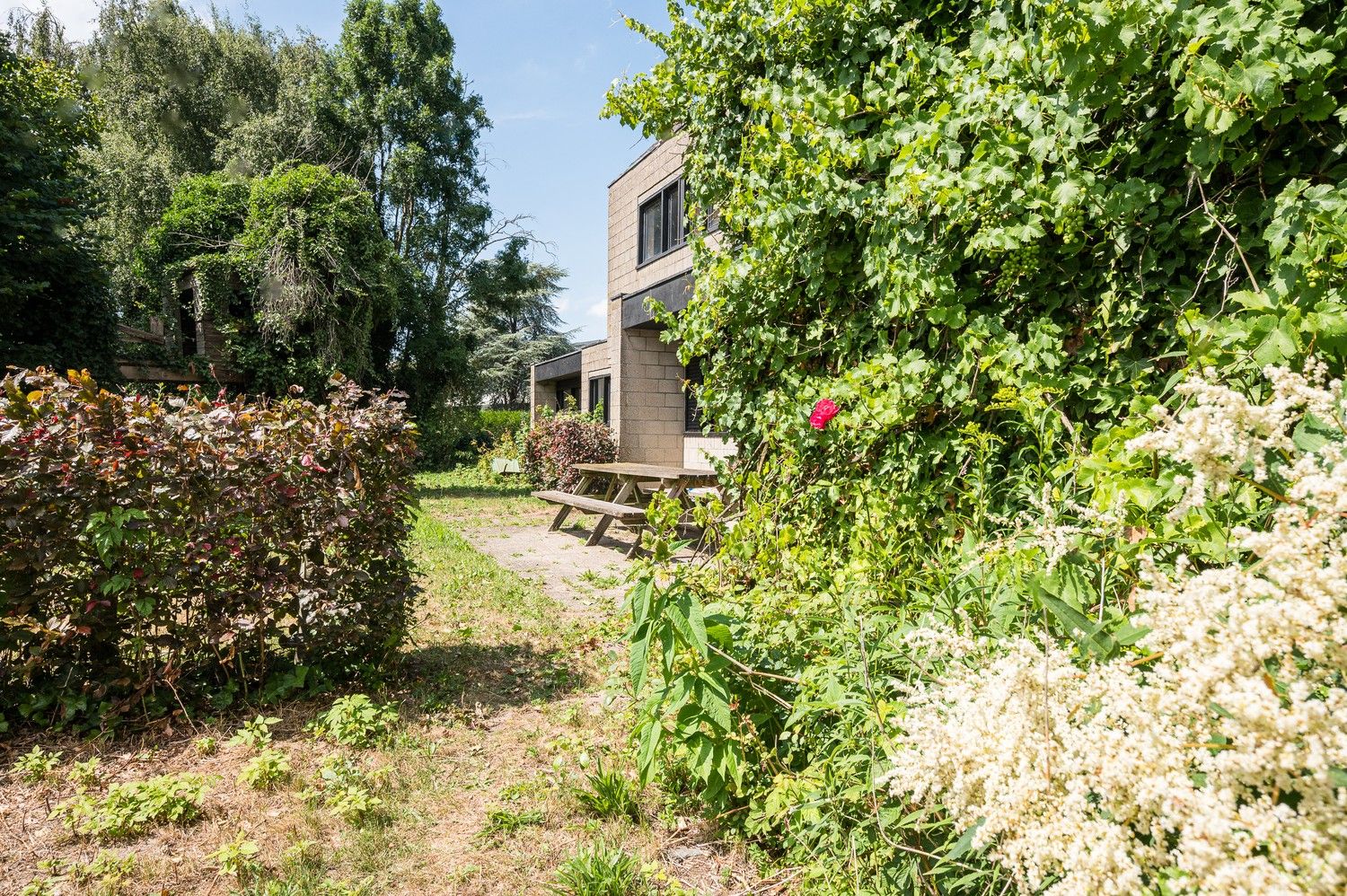 Modernistische parel uit 1978 met brutalistische charme en praktijkruimte op riant perceel in Lembeke foto 35