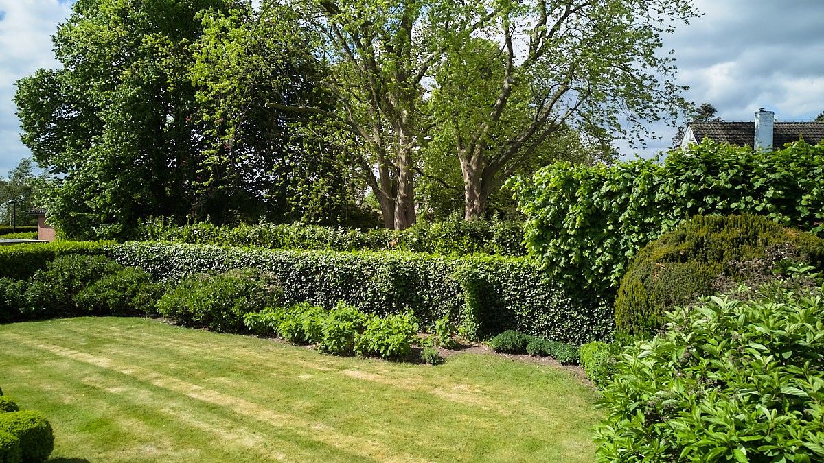 Hedendaags landelijk en rustig wonen in deze opmerkelijke villa met aangelegde tuin. foto 33