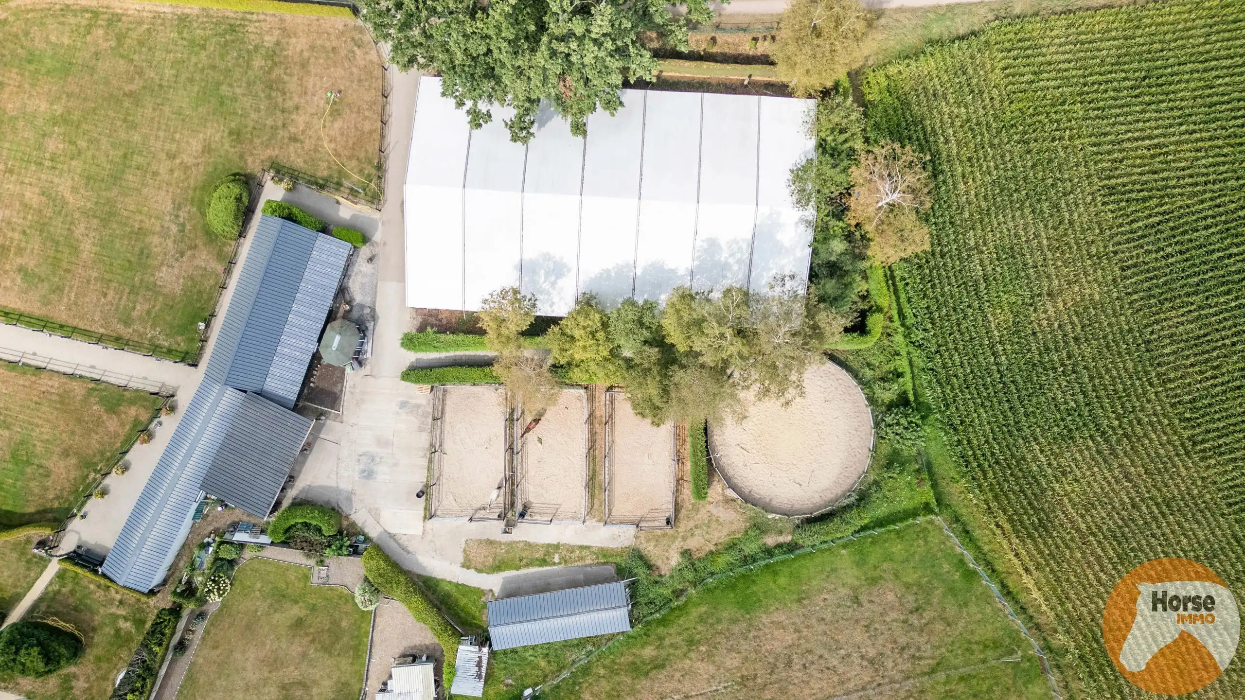 NEEROETEREN-Woning met accommodatie voor (semi)professioneel foto 10