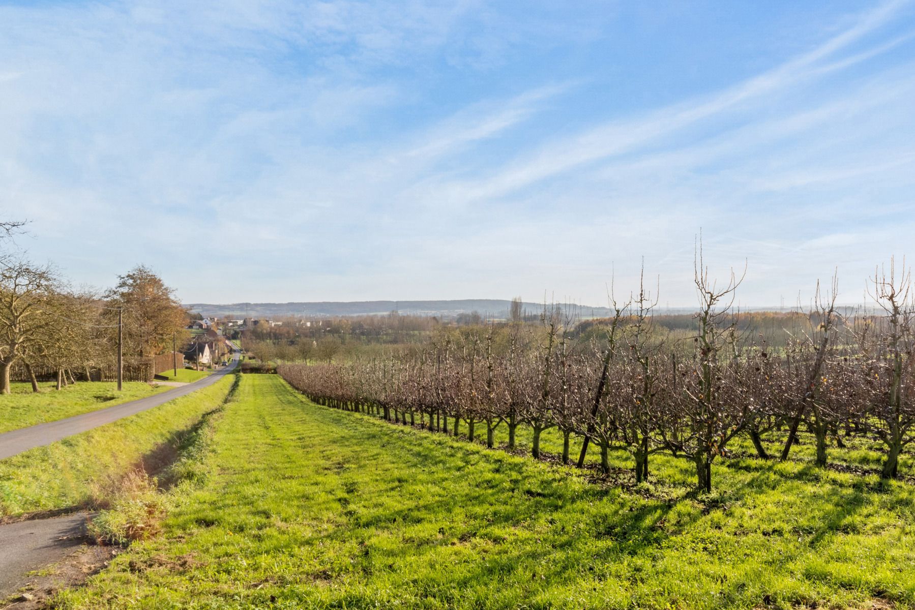 Uniek perceel grond mét vergunning aan het Tiegembos -900 m² foto 8