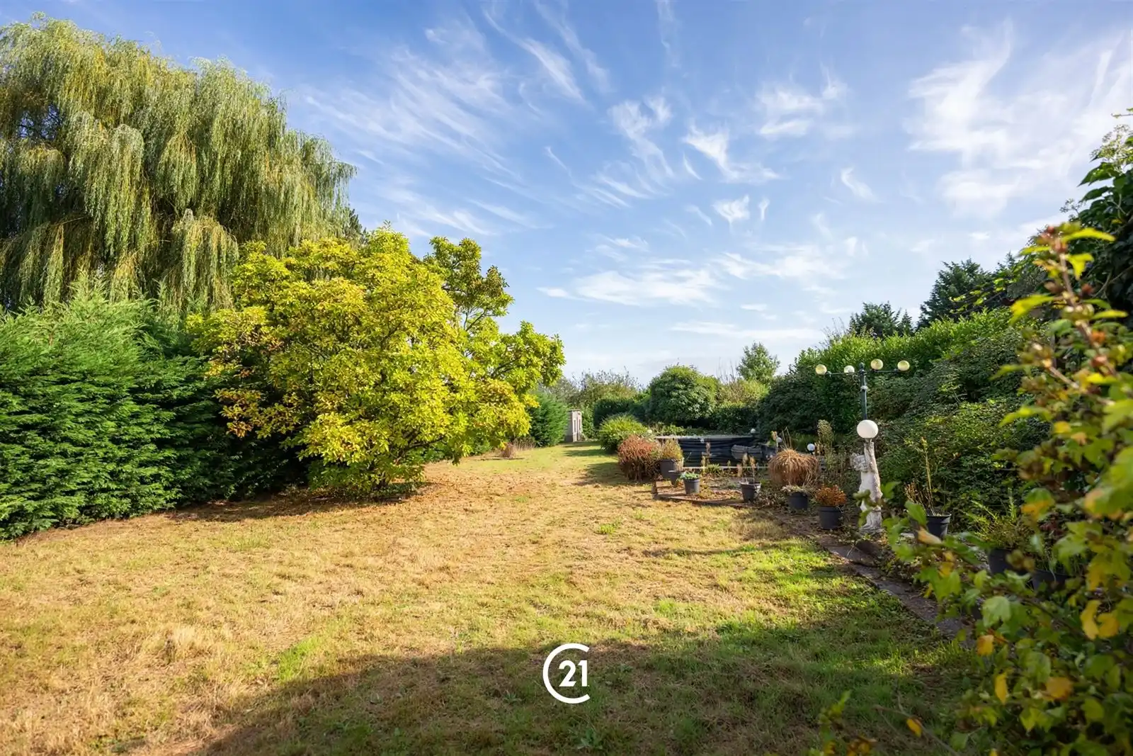 Villa bungalow met 3 slaapkamers, tuin en weide op +/-40are foto 29