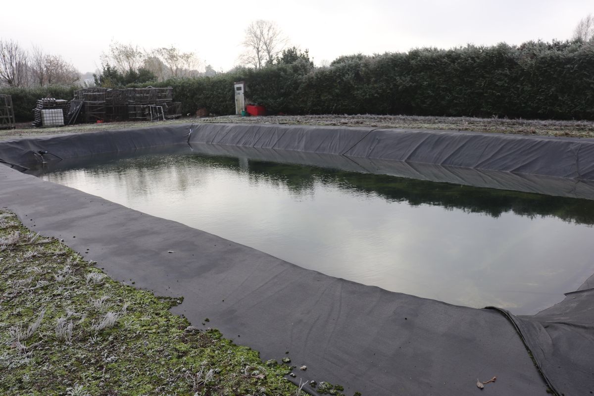 Plantenkwekerij te koop te Zwevegem foto 14