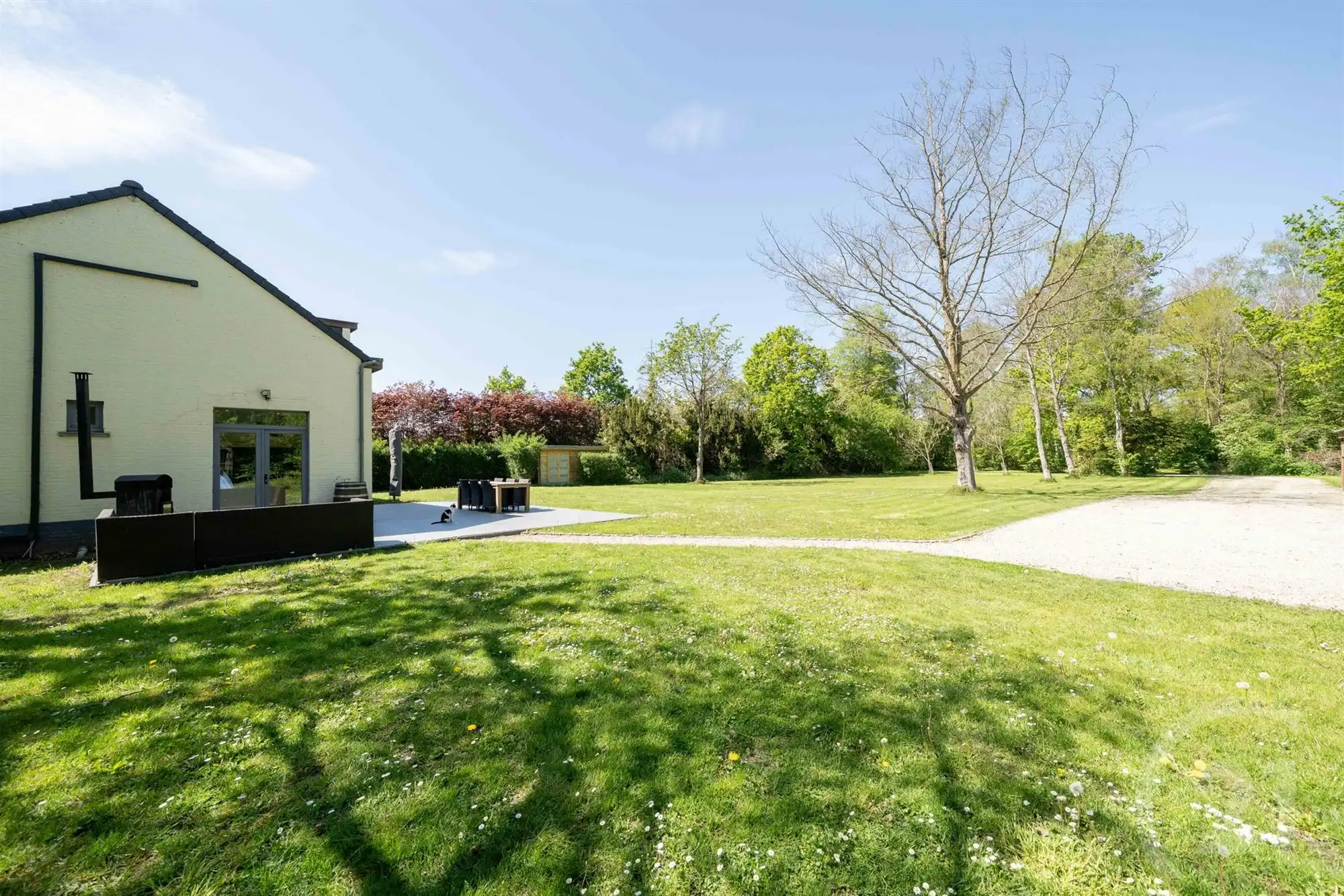 Landelijke woning op een prachtig perceel! foto 23