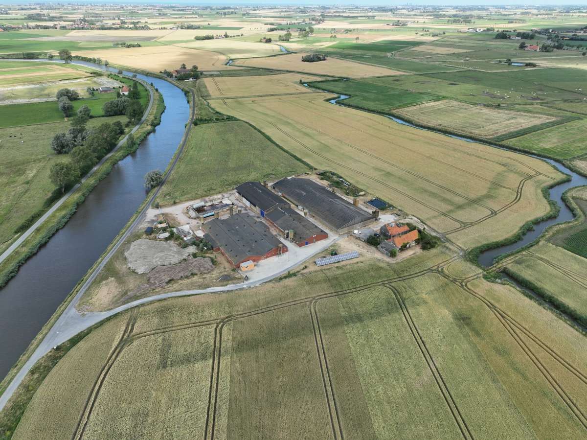 Zeugenbedrijf te Schore foto {{pictureIndex}}