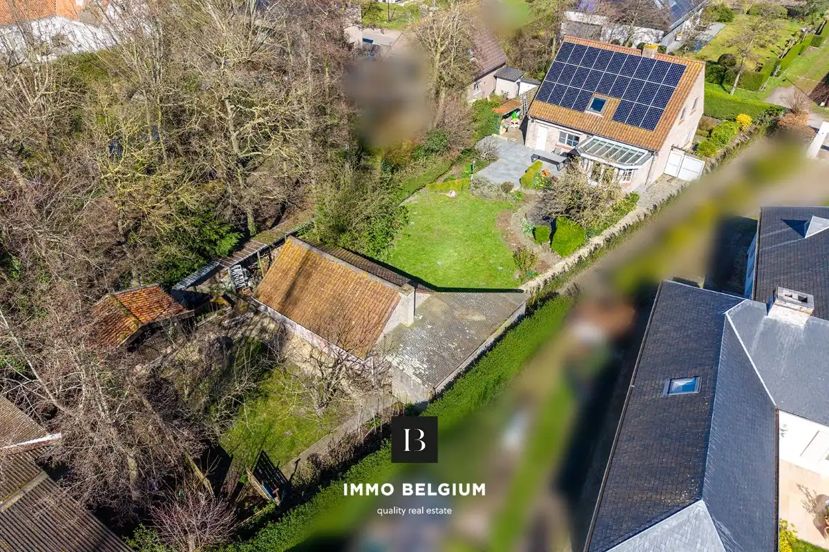 Prachtige woning op ruim perceel met bijgebouw foto 3