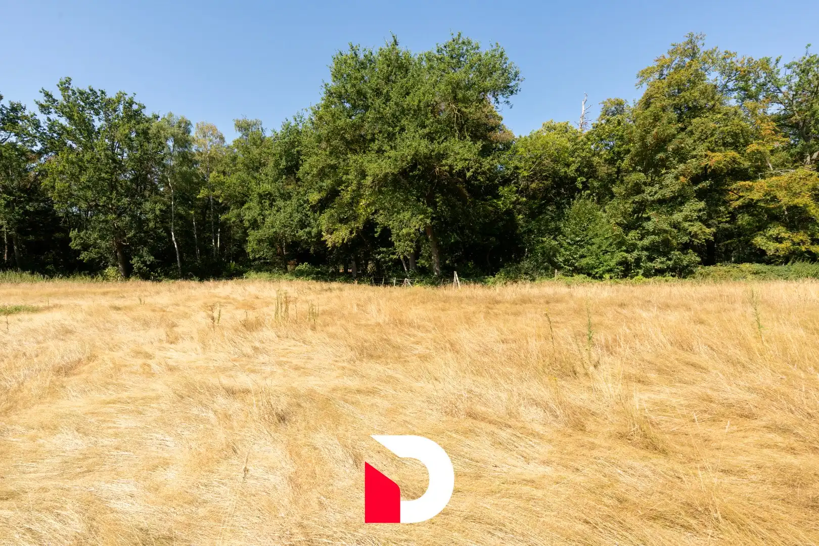 Stuk weiland van 10.627 m² gelegen tussen de Maalse Seenweg en de Antwerpse Heirweg. foto 9