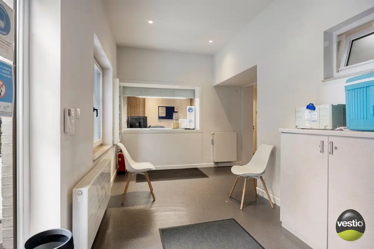 ROYALE WONING MET DOKTERSPRAKTIJK TE BILZEN HOESELT. foto 37