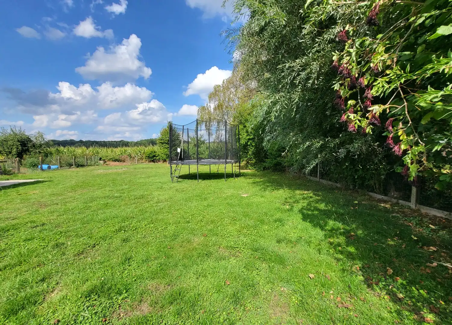 In een landelijke omgeving bevindt zich deze grondig gerenoveerde woning op een mooi perceel van 1.102 m². foto 4