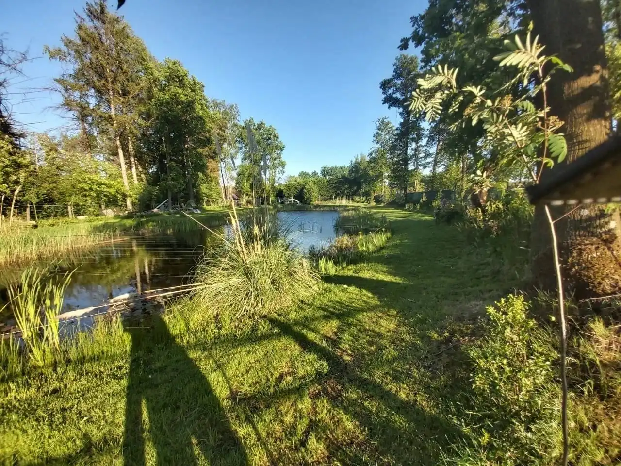 Uniek stuk recreatiegrond met vijver en bouwmogelijkheid – 2154 m². foto 8