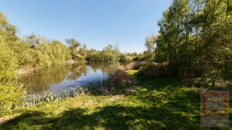 Unieke chalet met vijvers op ±1,4 ha! foto 9