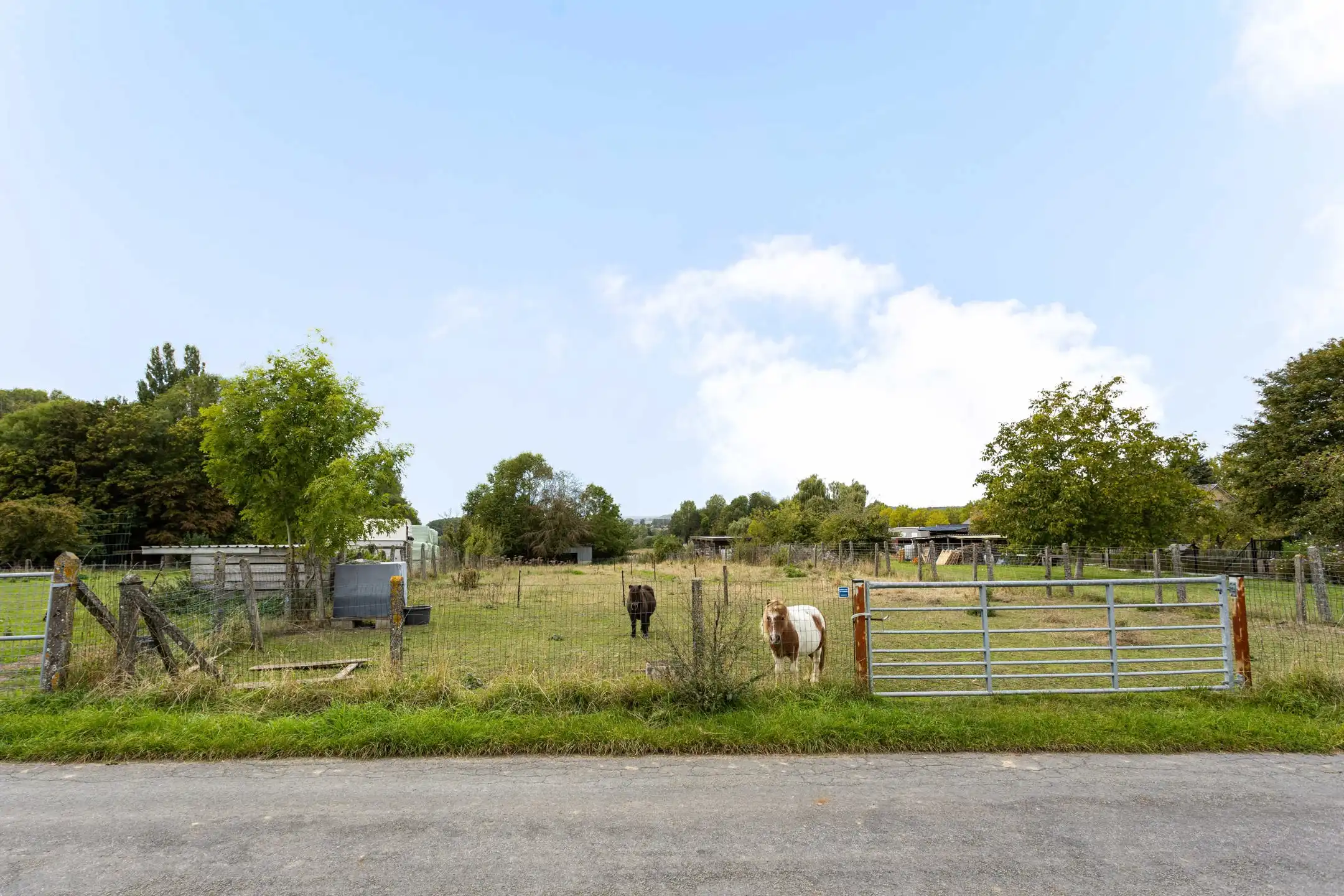 Rustig gelegen weiland in een groene en landelijke omgeving! foto 3