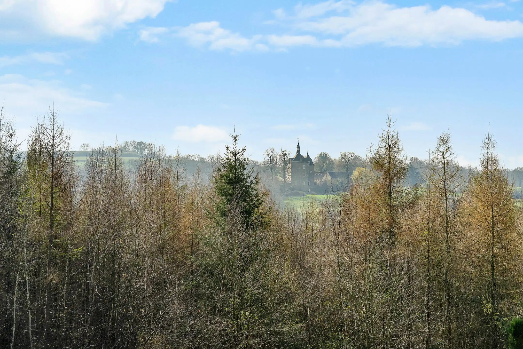 Charmante villa met souterrain 168m2 te Dalhem foto 48