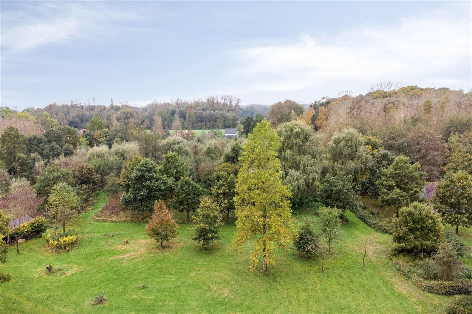 Bouwgrond in unieke groene omgeving in Asse  foto 9
