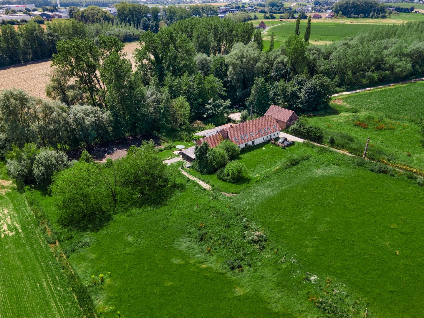 Unieke Oase van Rust met Paardenpiste en Natuurpracht op 15.000m2 te Mollem. foto 5