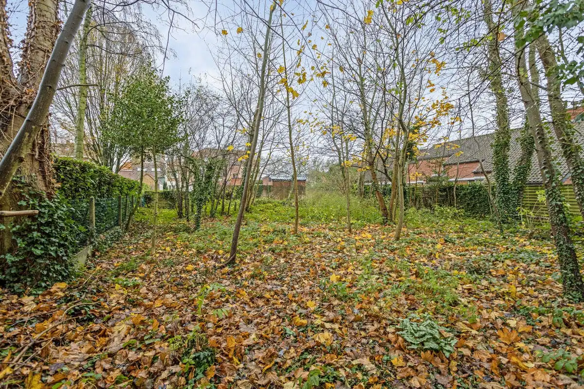 Nieuwbouwhuis met 3 slaapkamers langs de Peterseliestraat te Brugge foto 7