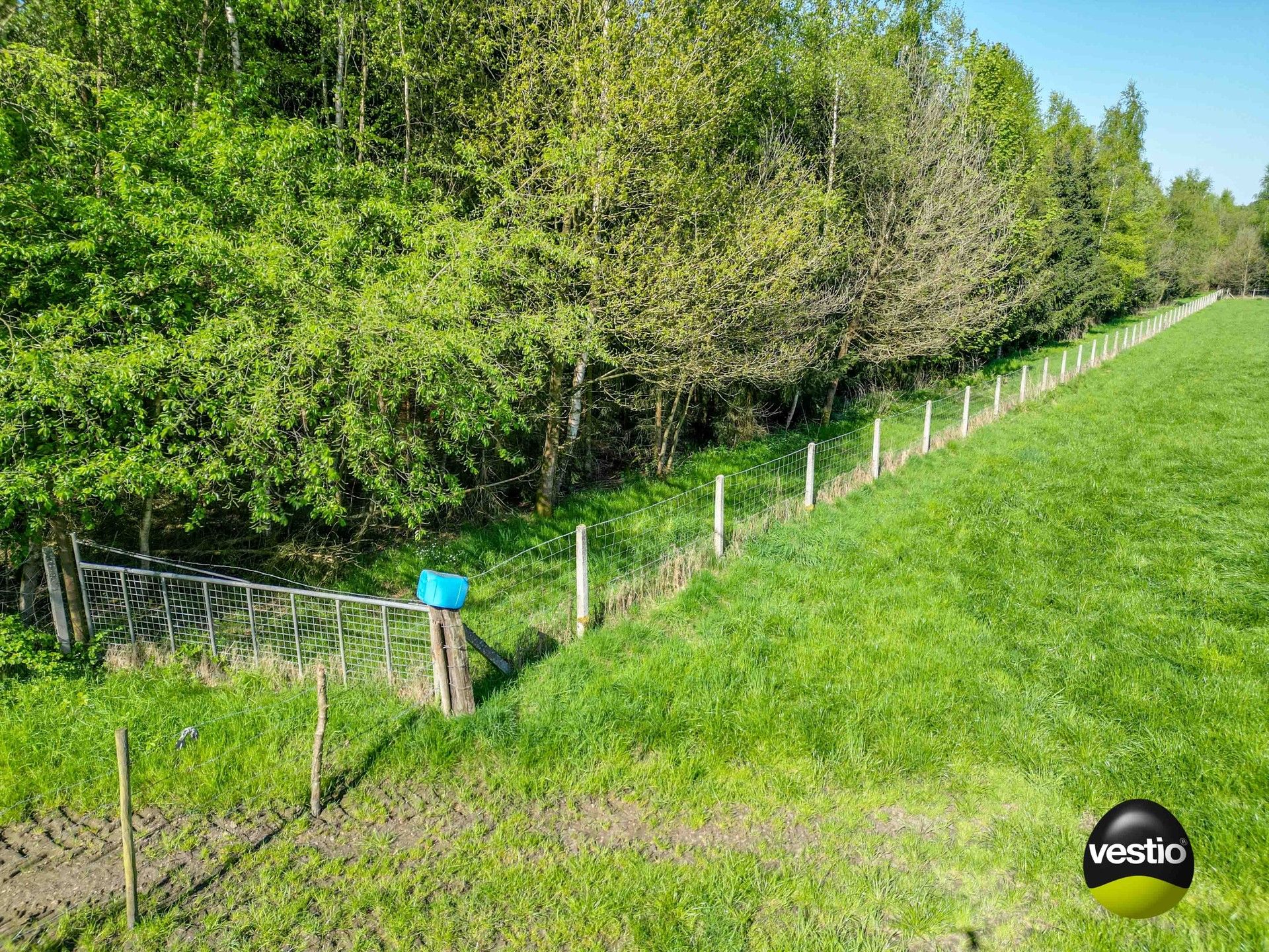 DEGELIJKE WONING MET WEILANDEN OP 1,7 HECTARE foto 8