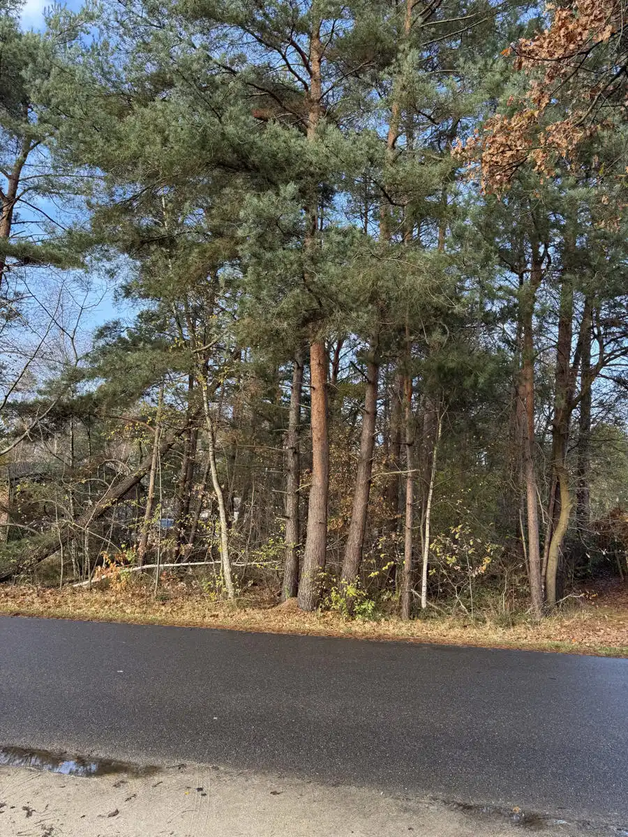 Ruime bouwgrond te koop in Balen-Wezel: ca. 3513 m² op rustige locatie foto 3