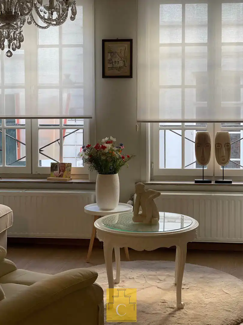 charmant handelspand met woonst, aparte ingang, op topligging in het hart van Brugge foto 7