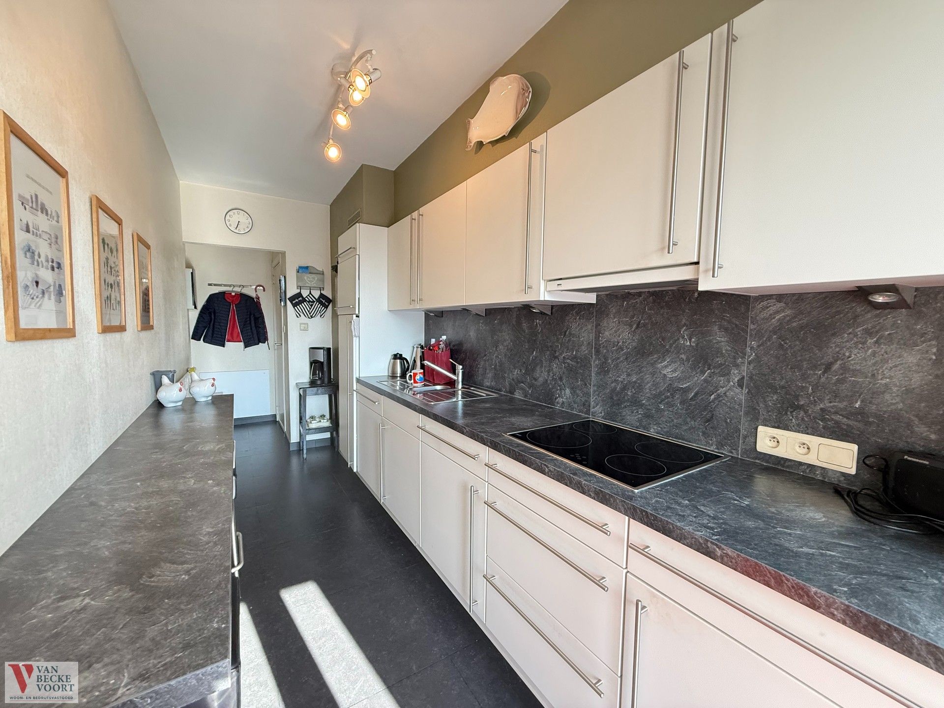 Gerenoveerd appartement met zicht op Petit-Paris foto 5
