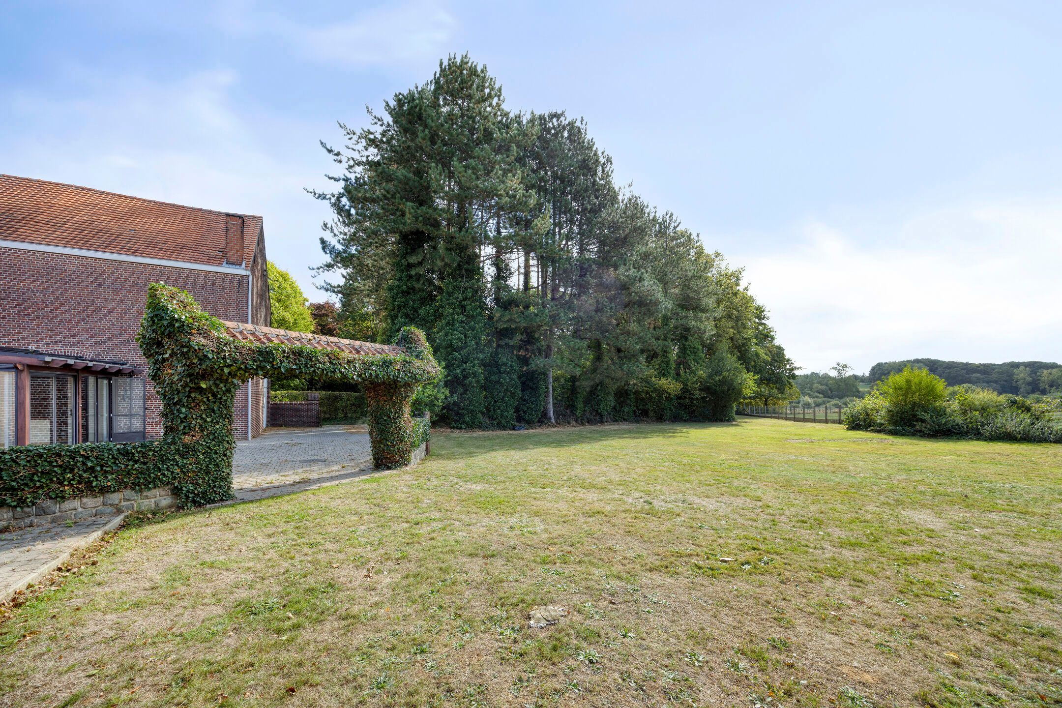 Te renoveren hoeve met weide op 72are foto 21