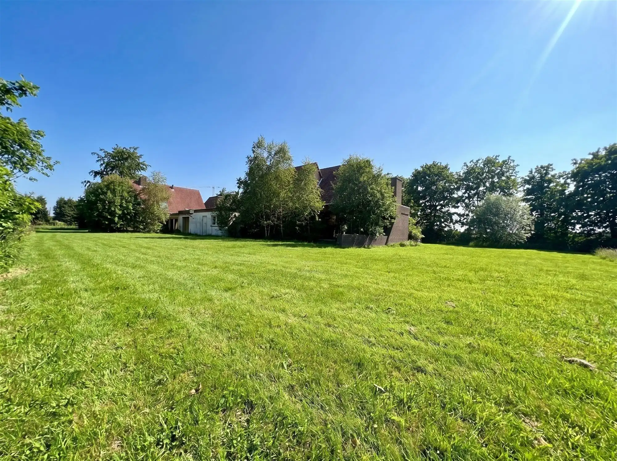 Te renoveren enorme villa (925 m² bewoonbaar) op 7874 m²  foto 3