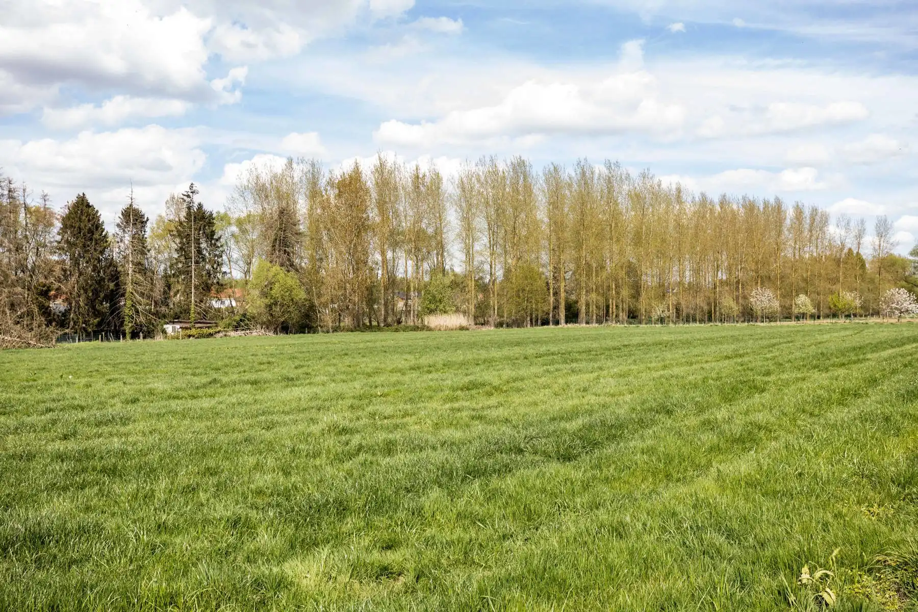 Te Koop: Instapklare woning met 4 slaapkamers te Herzele foto 38