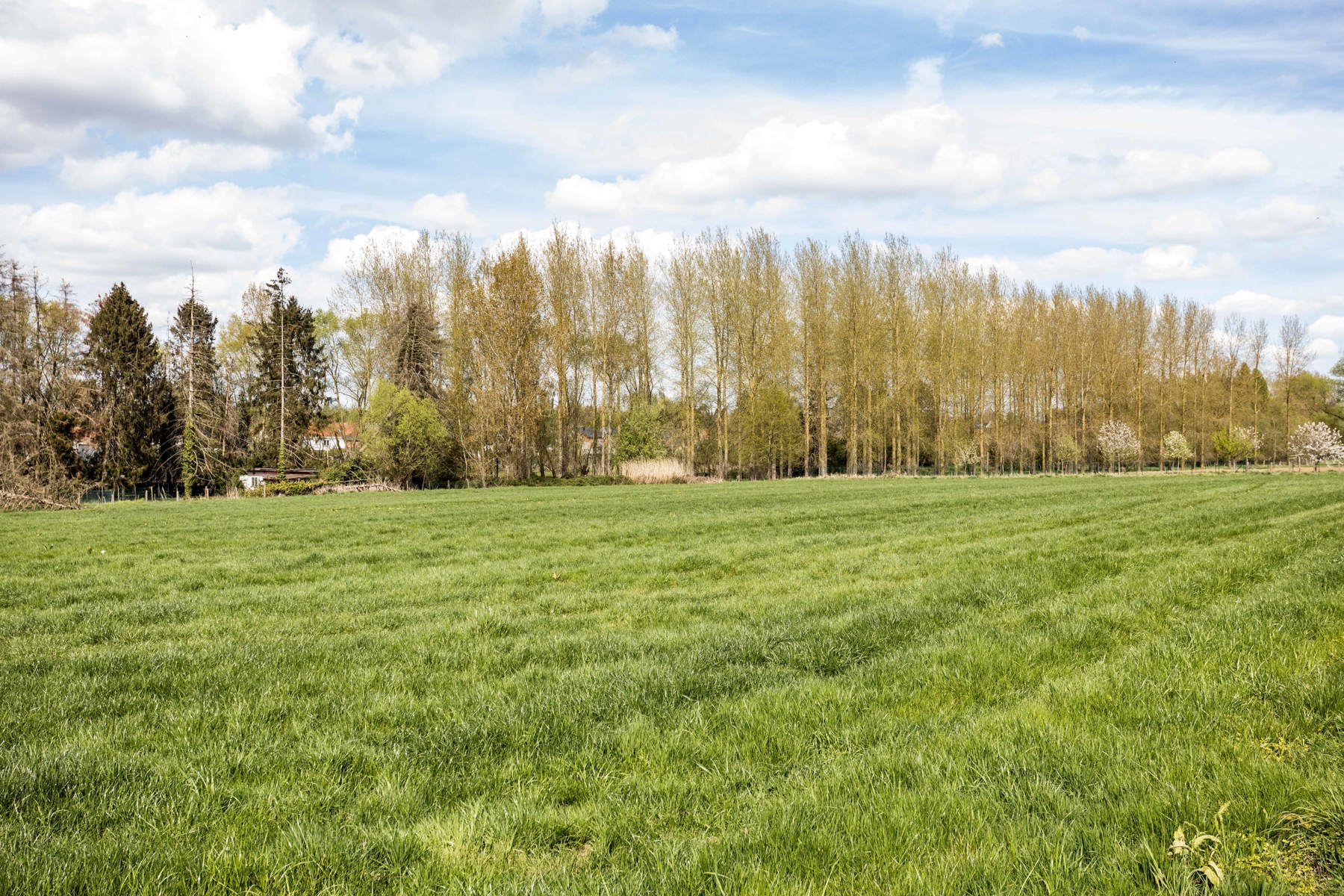 Te Koop: Instapklare woning met 4 slaapkamers te Herzele foto 38