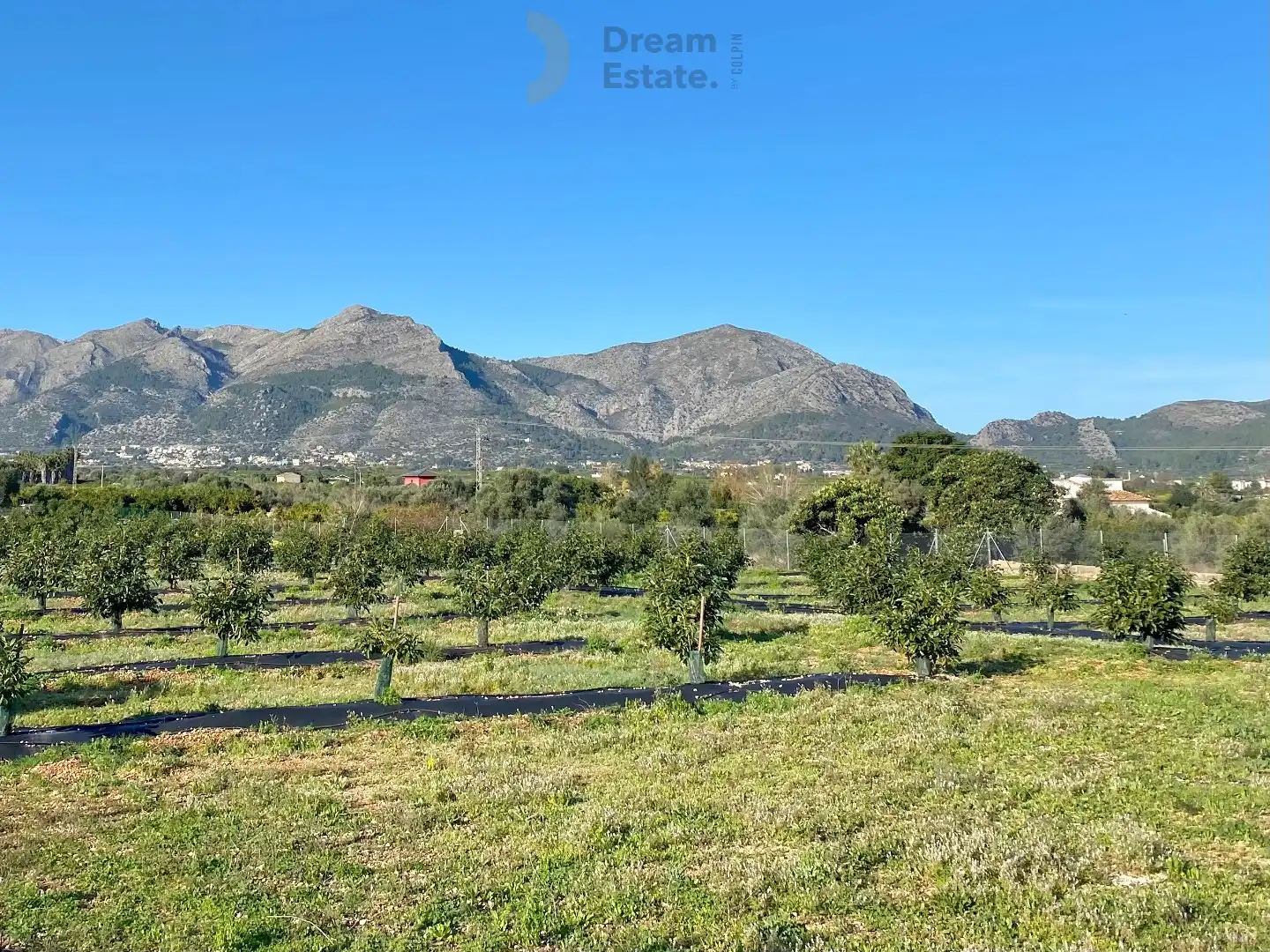 Villa Benidoleig – Exclusieve Nieuwbouwvilla met Avocadoplantage en Panoramisch Uitzicht Benidoleig, Costa Blanca foto 6