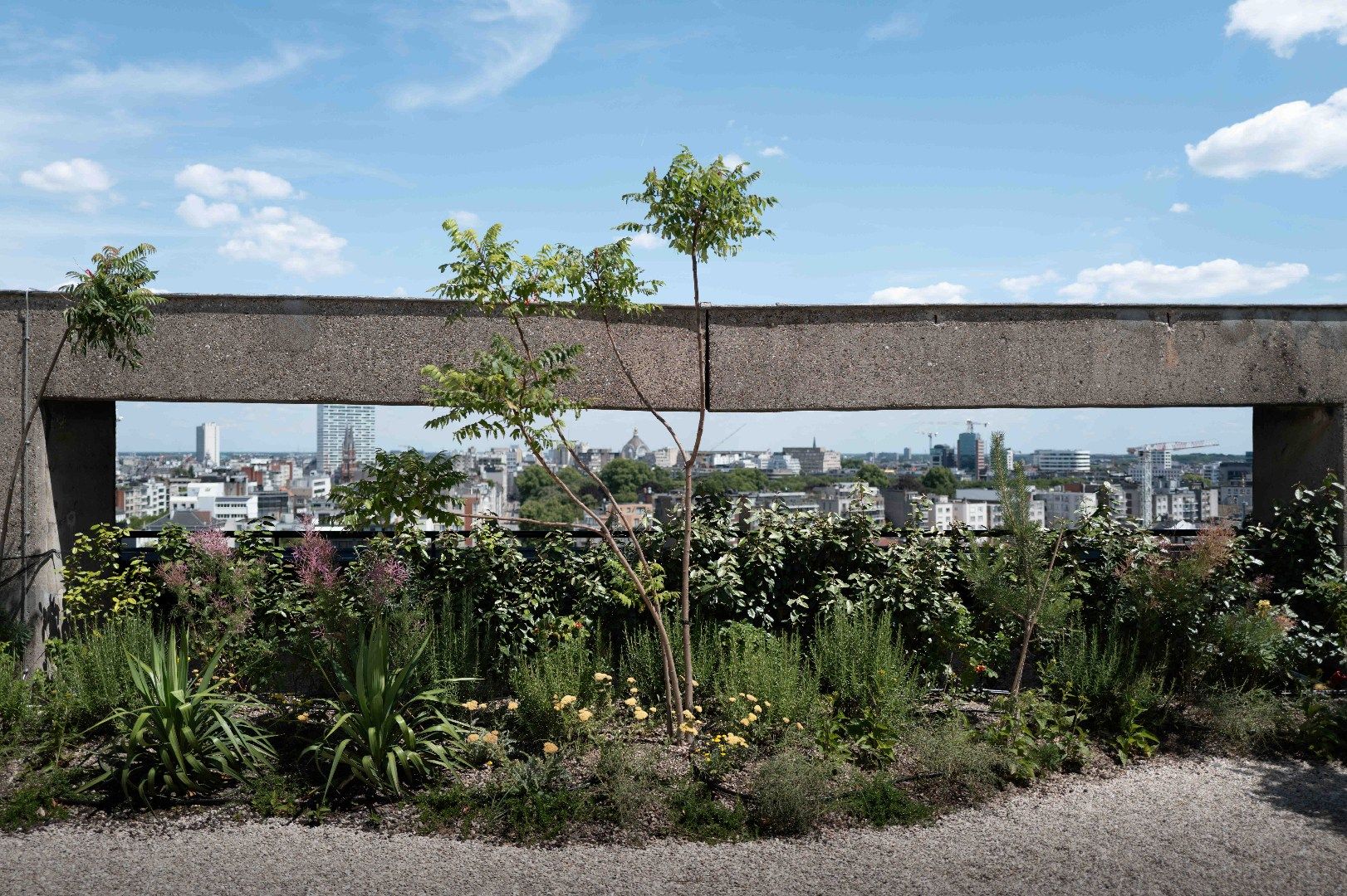 Een creatieve thuishaven op de iconische Mechelsesteenweg - Oval Sky foto 15