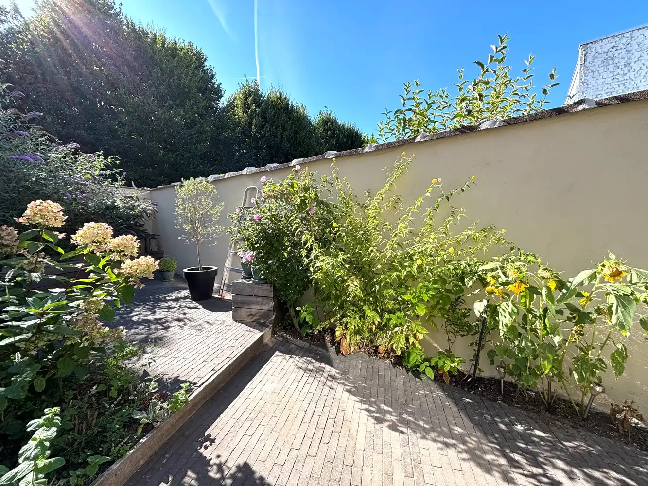 Leuke woning met twee slaapkamers, koer en EPC B te Mortsel foto 20