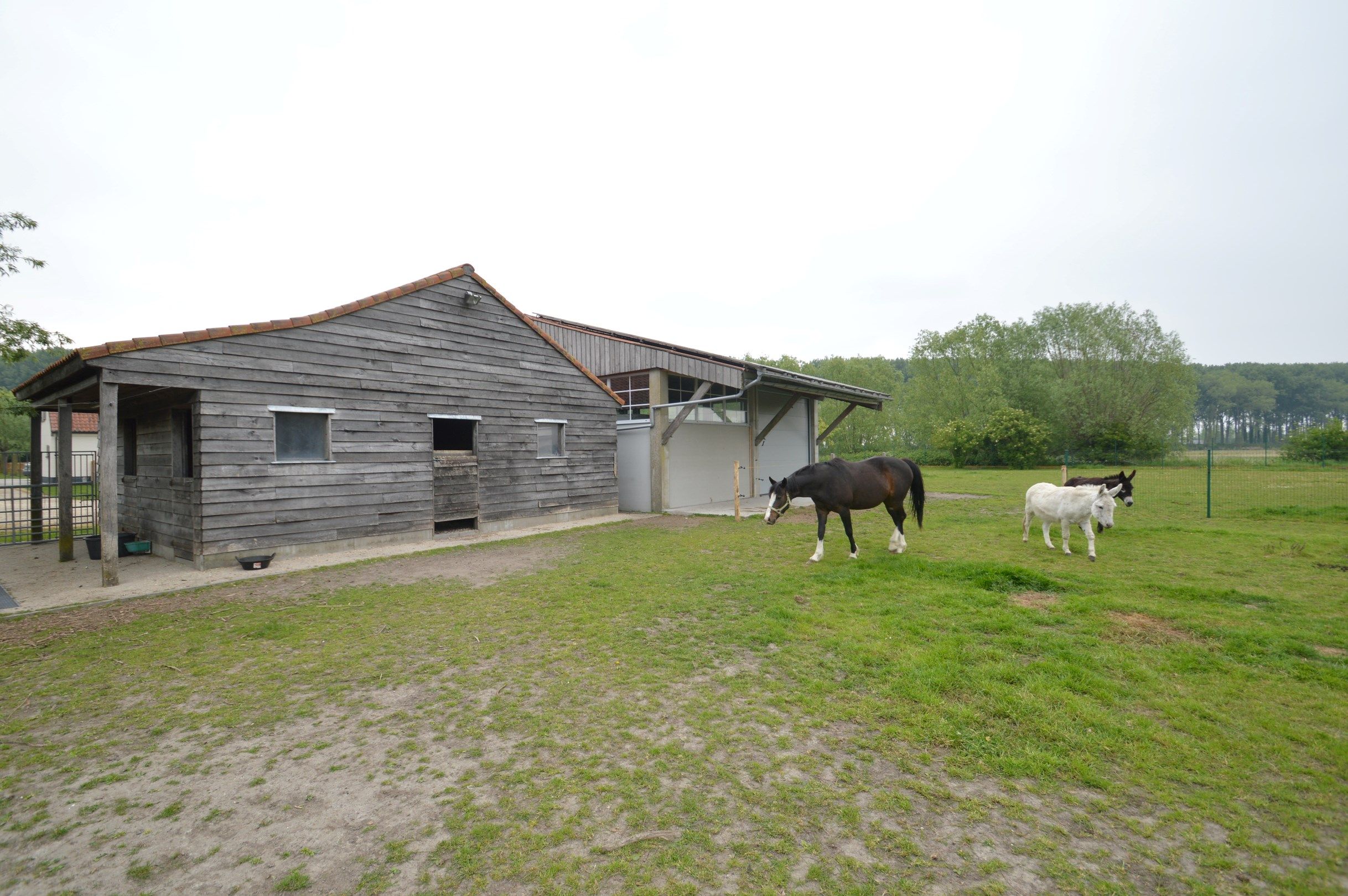 Fermette met bijgebouwen in het prachtige Damme foto 11