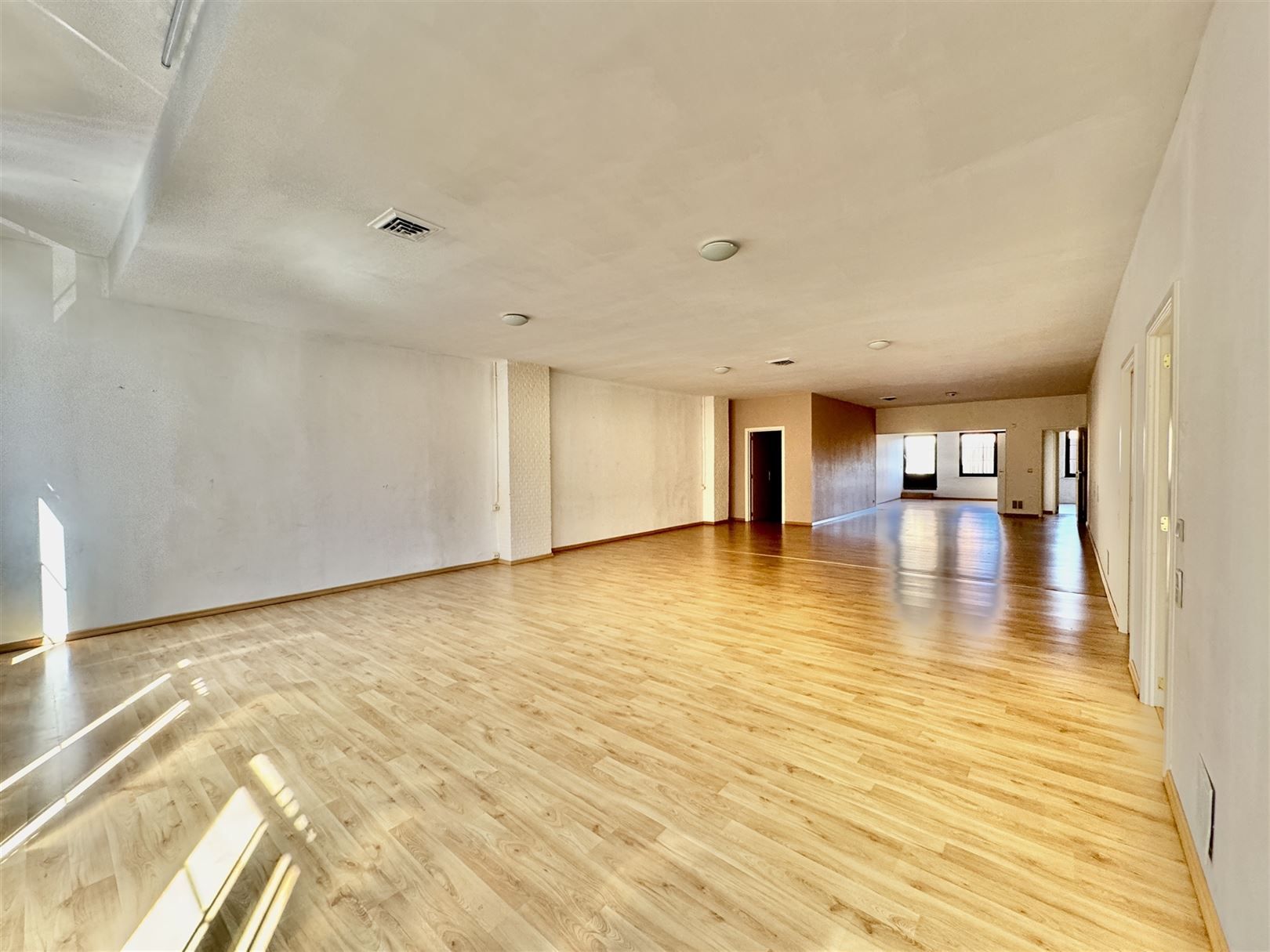 Loft voor gemengd gebruik foto 9