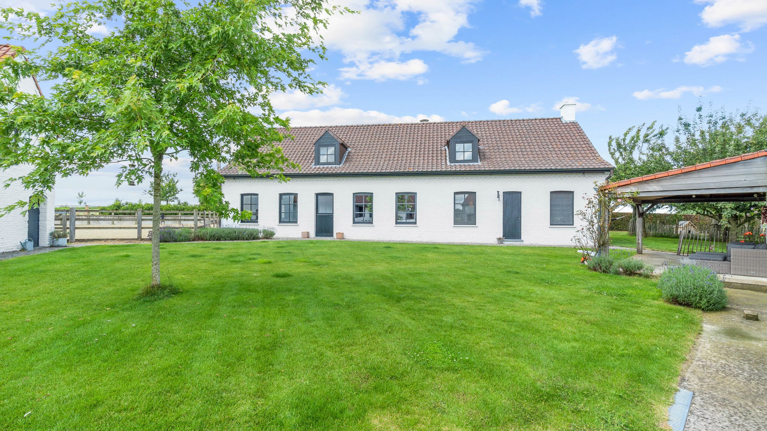 WORTEGEM-PETEGEM - Woning met bijgebouw, paardenaccomodatie foto 4