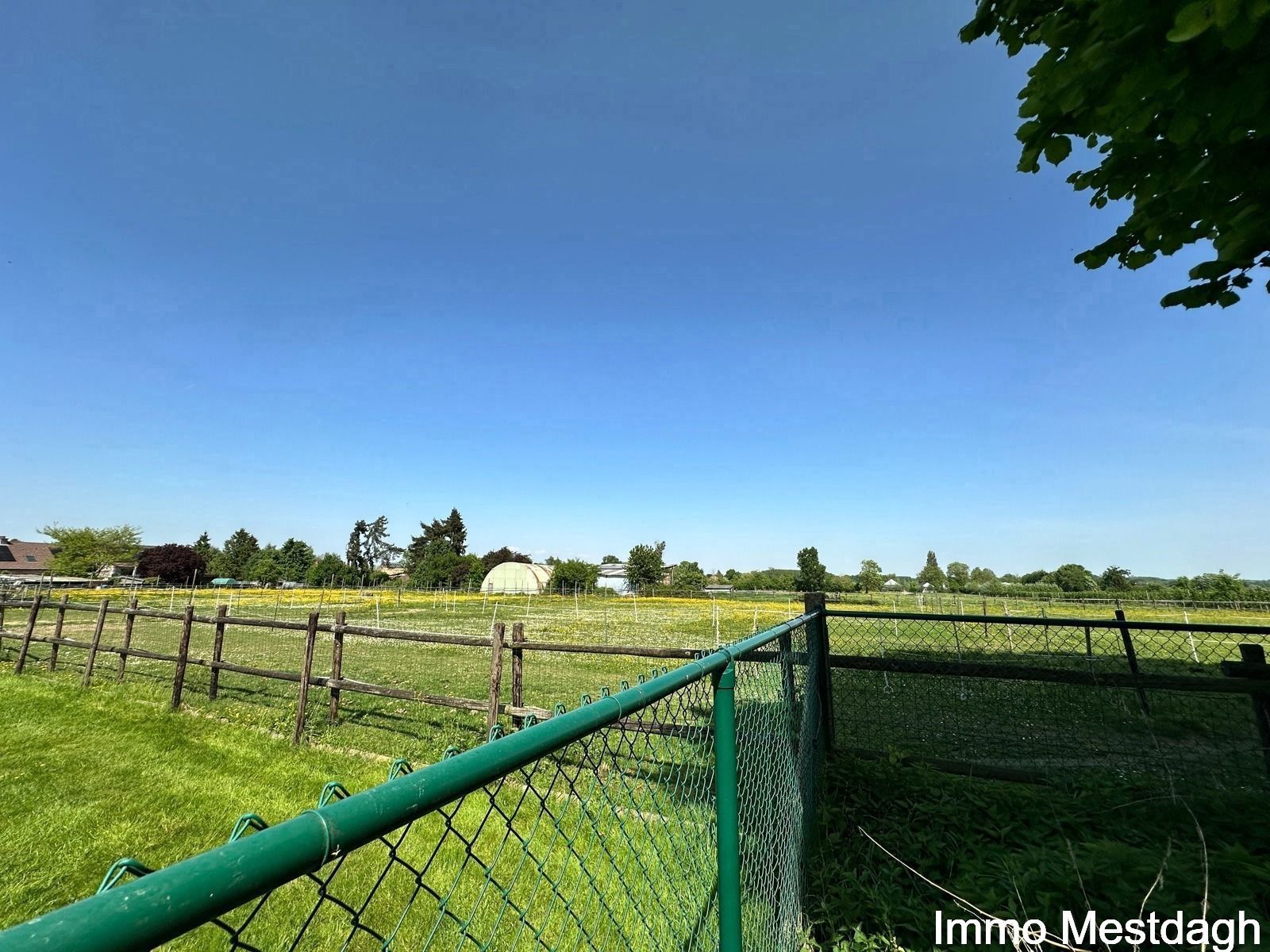 Ruime woning en tuinberging met potentieel in het landelijke Geetbets. foto 11