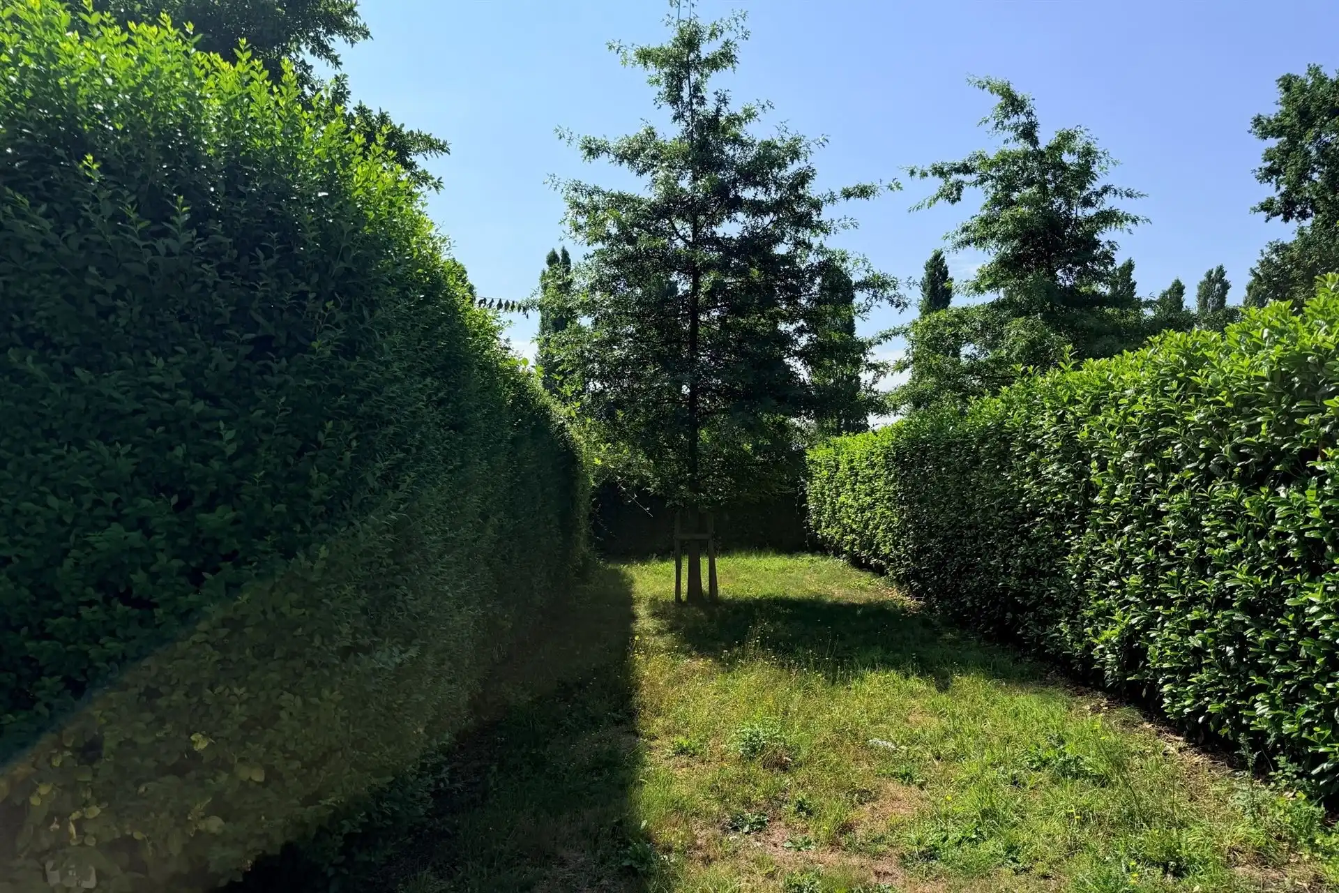 Instapklare woning met 3 slpk op een zeer centrale ligging! foto 17